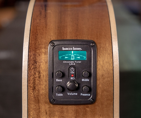 WASHBURN BTS C56 SCE (N) gitara elektroakustyczna