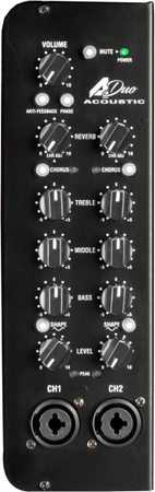 LANEY A-DUO combo do gitary akustycznej