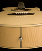 WASHBURN EA 20 (N) gitara elektroakustyczna