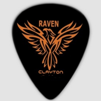 CLAYTON BS 100 / 12 piórka w set'ach