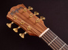 WASHBURN BTS C56 SCE (N) gitara elektroakustyczna