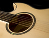 WASHBURN EA 20 (N) gitara elektroakustyczna