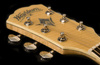 WASHBURN EA 20 (N) gitara elektroakustyczna