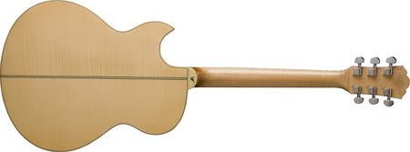WASHBURN EA 20 (N) gitara elektroakustyczna