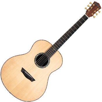 WASHBURN BTS 24 S (N) gitara akustyczna