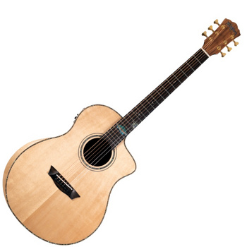 WASHBURN BTS C56 SCE (N) gitara elektroakustyczna
