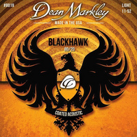 DEAN MARKLEY DM 8019 komplet strun do gitary akustycznej