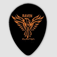 CLAYTON BST 63 / 12 piórka w set'ach