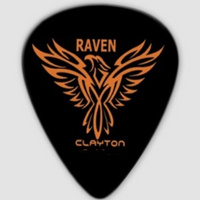 CLAYTON BS 50 / 12 piórka w set'ach