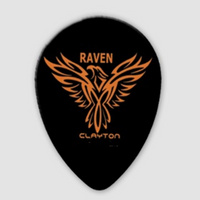 CLAYTON BST 100 / 12 piórka w set'ach